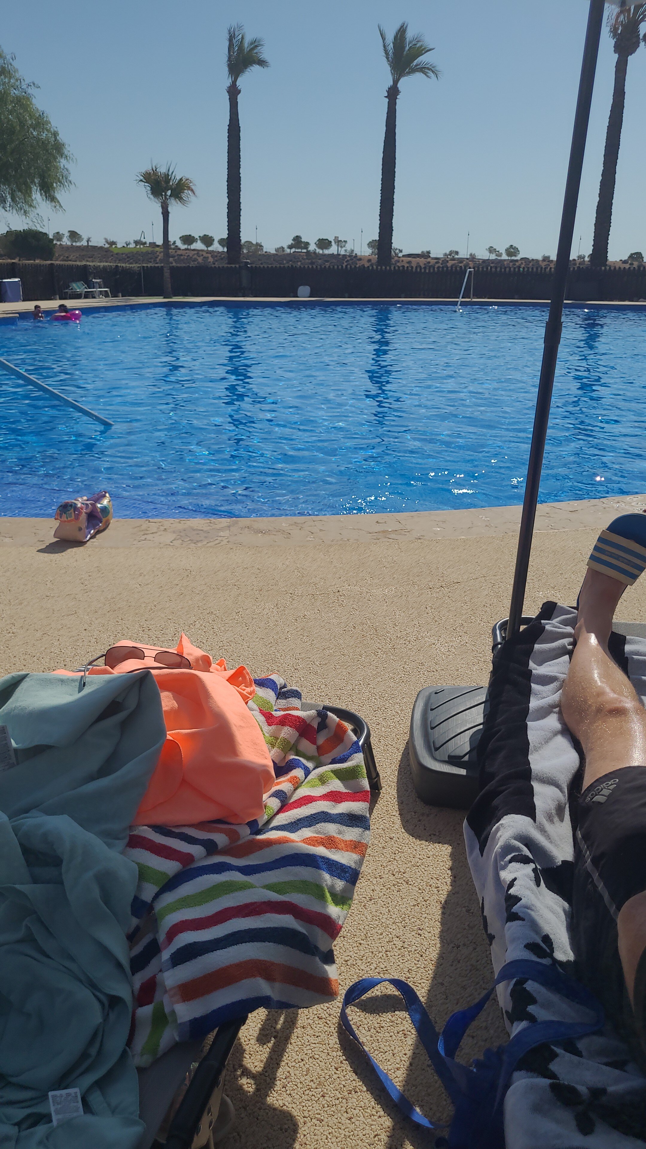 Hacienda Riquelme Golf Resort-泳池