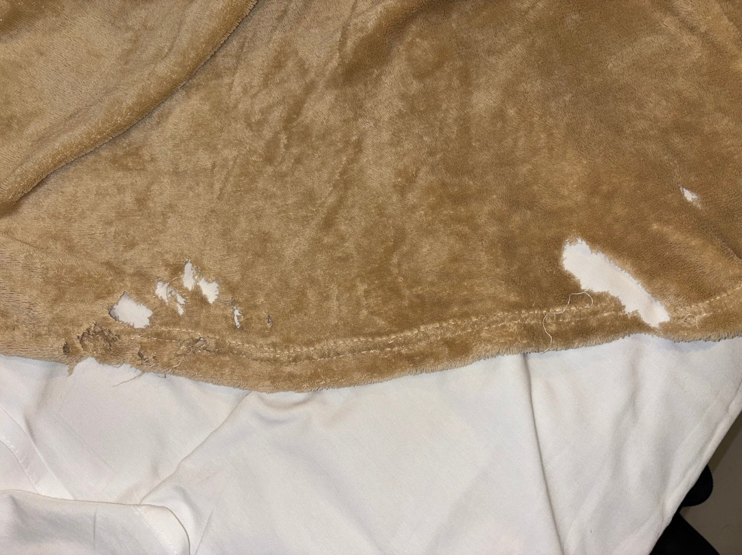 Miami Hotel by H Hoteis