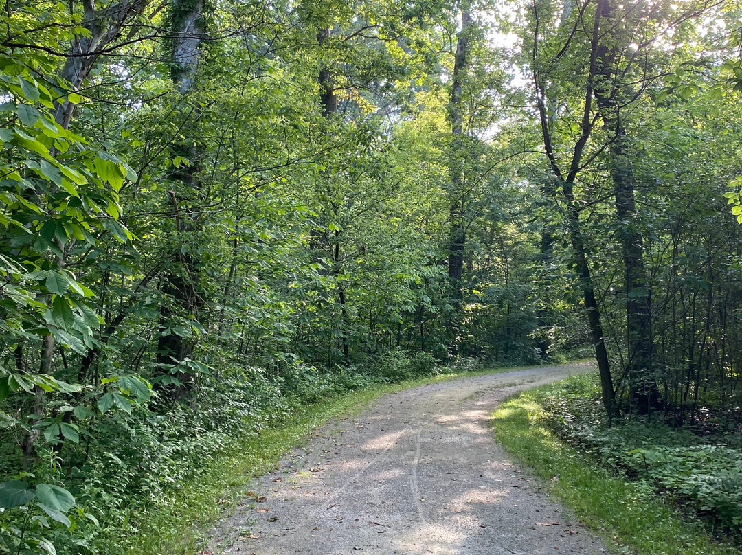 Pearson's Metropark-Oregon必去景点