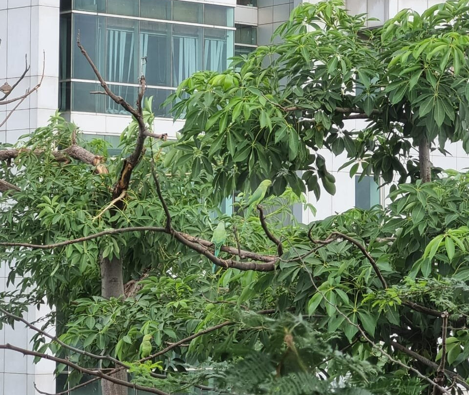 Taj Surajkund Resort & Spa, Delhi NCR主图