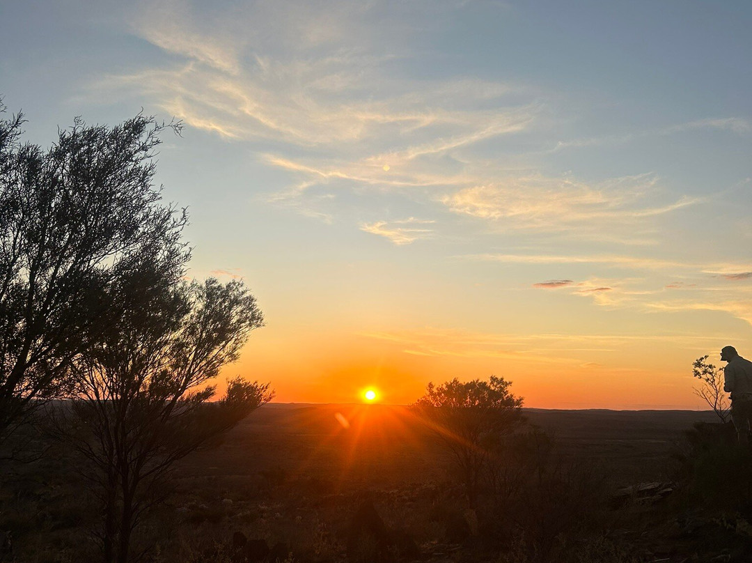The Broken Hill Sculptures & Living Desert Sanctuary景点图片