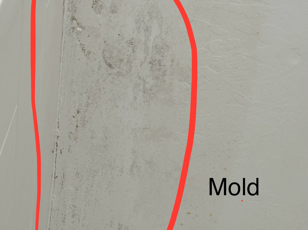 Holiday Inn Express & Suites Raton by IHG主图