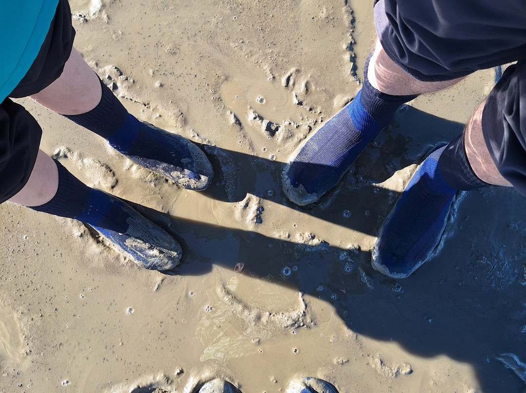 Gönn dir Watt-库克斯港县必去景点