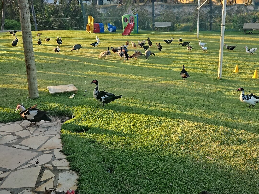 Coliseum Beach Hotel主图