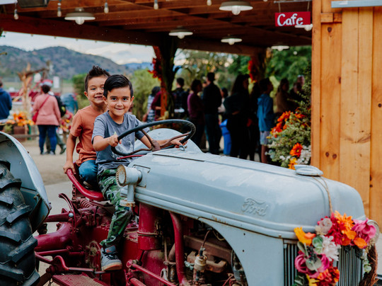 Lakeside旅游景点-Oma's Family Farm