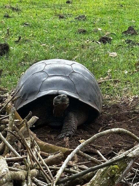 瑟米拉维尔德精品酒店主图