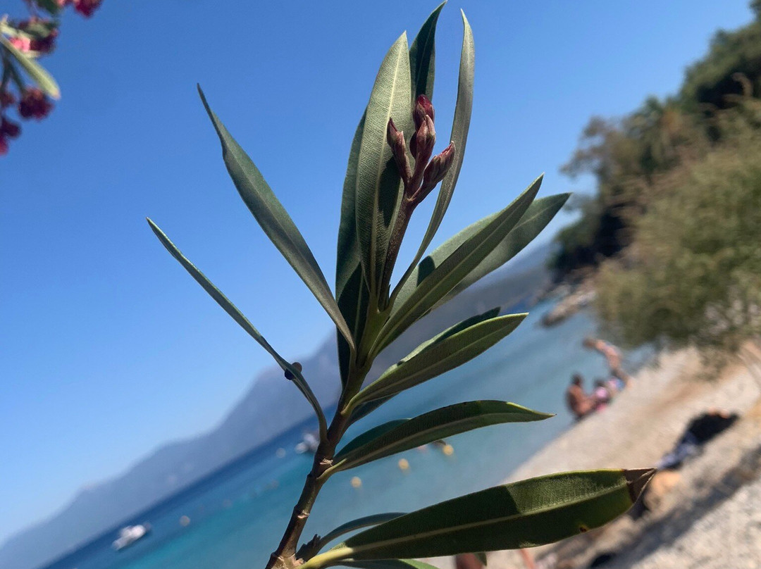 Gregory Studios主图