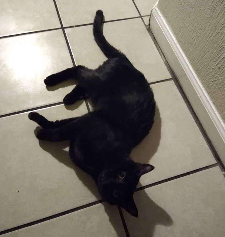 London Ohio Skate Park-London必去景点