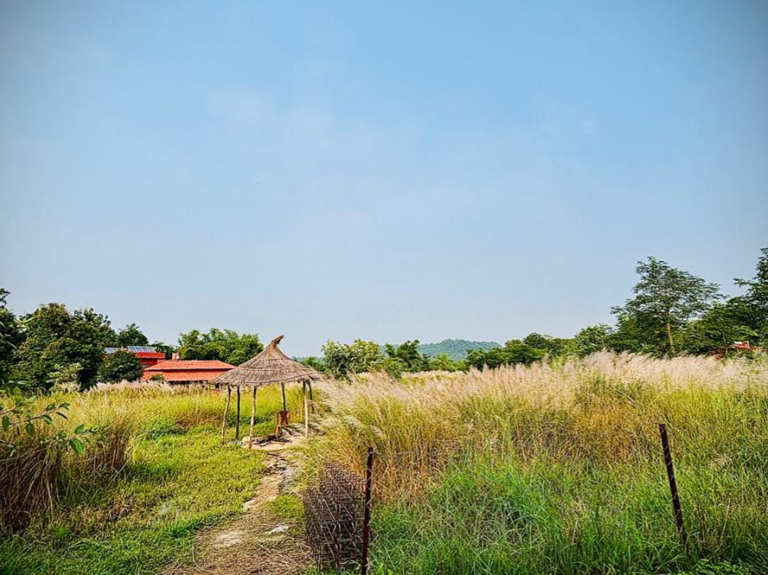 The Tiger Valley Resort主图