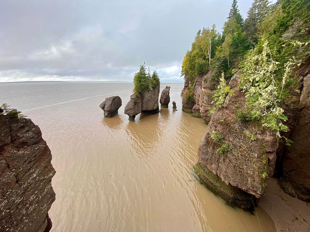 Innisfree Bed and Breakfast Hopewell Rock主图