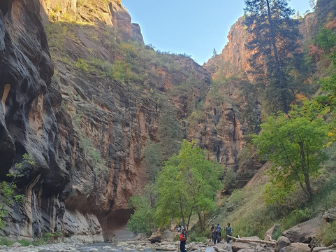 Zion Adventures-斯普林代尔必去景点