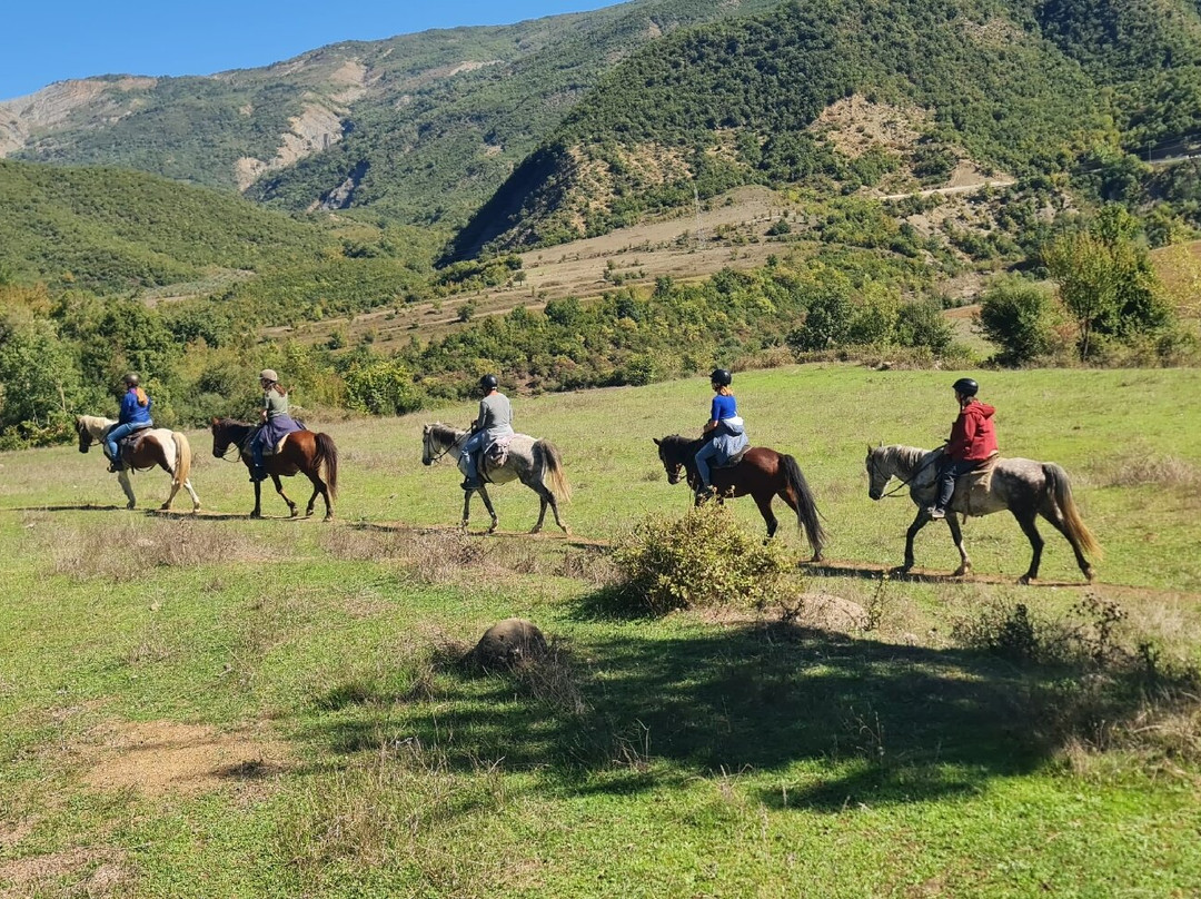 Funky Guest House主图