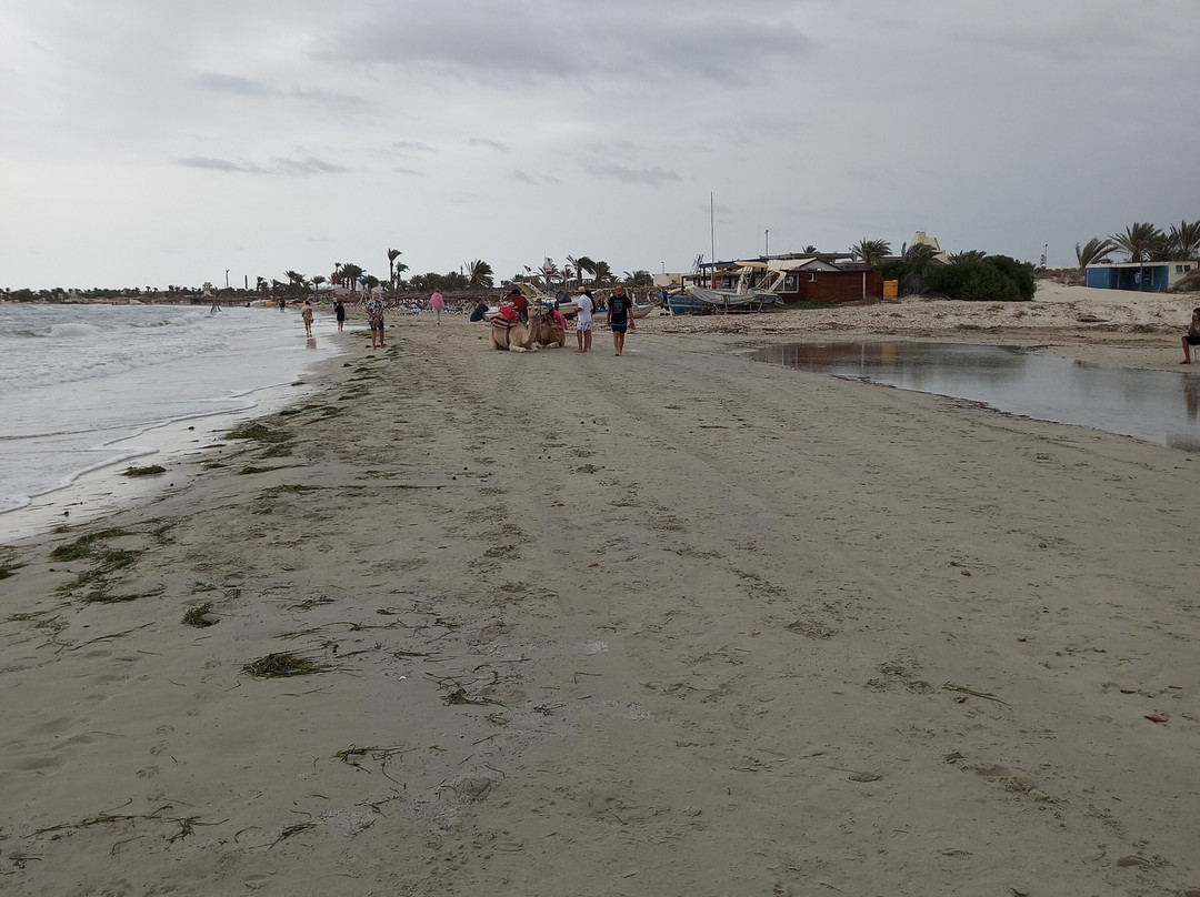 Plage De La Seguia-阿基尔必去景点