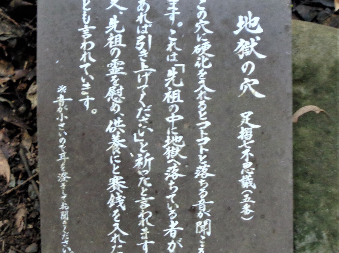 Ashizuri Nature Trail Ashizuri Nanafushigi-土佐清水市必去景点