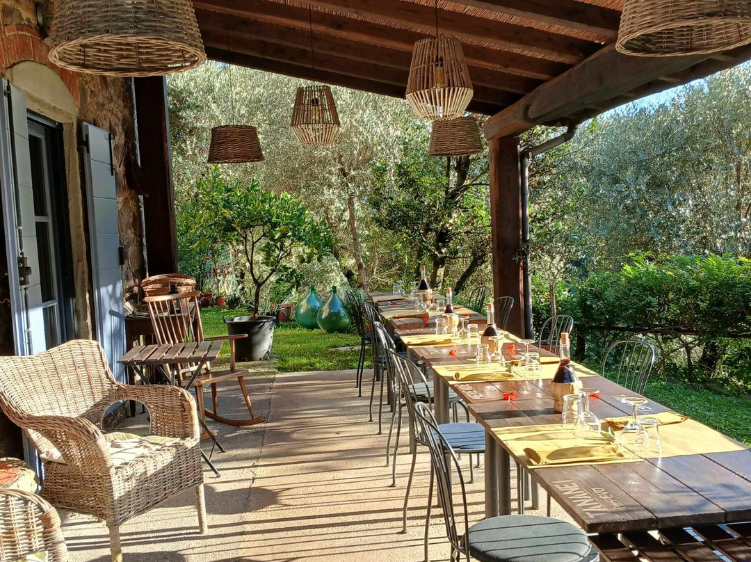 Agriturismo Tananei - Extra Virgin Olive Oil experience-Marliana必去景点
