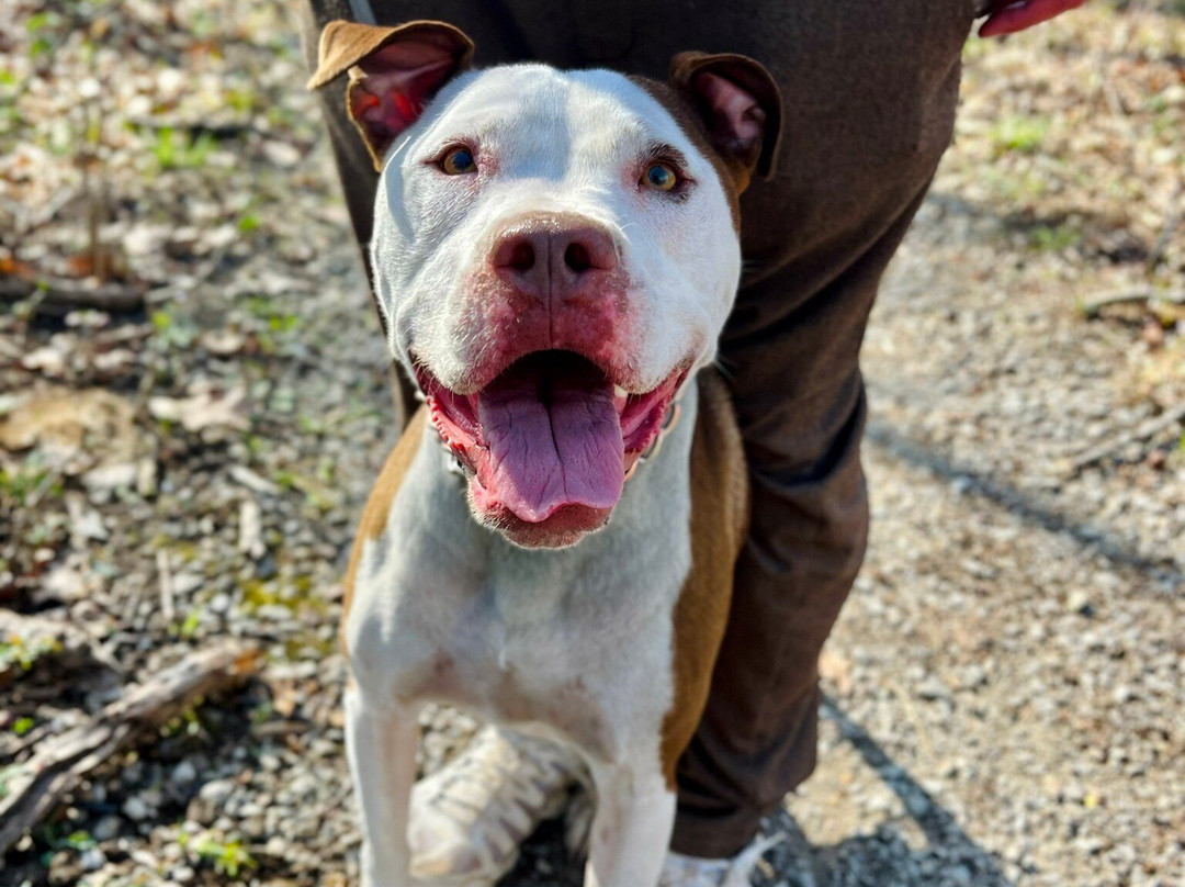 Cincinnati Nature Center-Milford必去景点