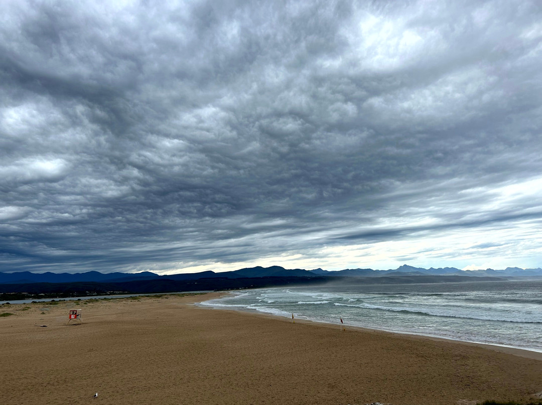 Whale Tail Lookout Point-普利登堡湾必去景点