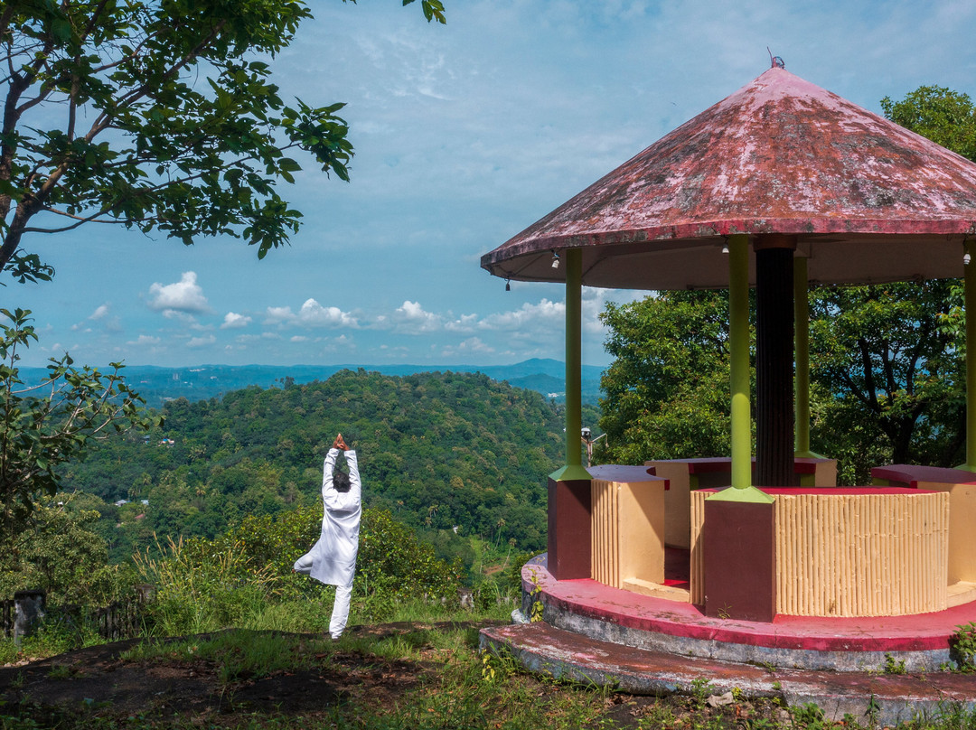 Chamundi Hill Palace Ayurvedic Resort主图