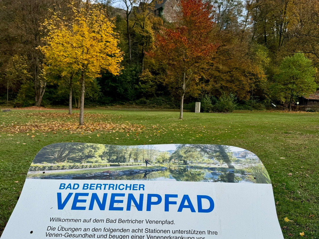 Landschaftstherapeutischer Park Römerkessel-Bad Bertrich必去景点