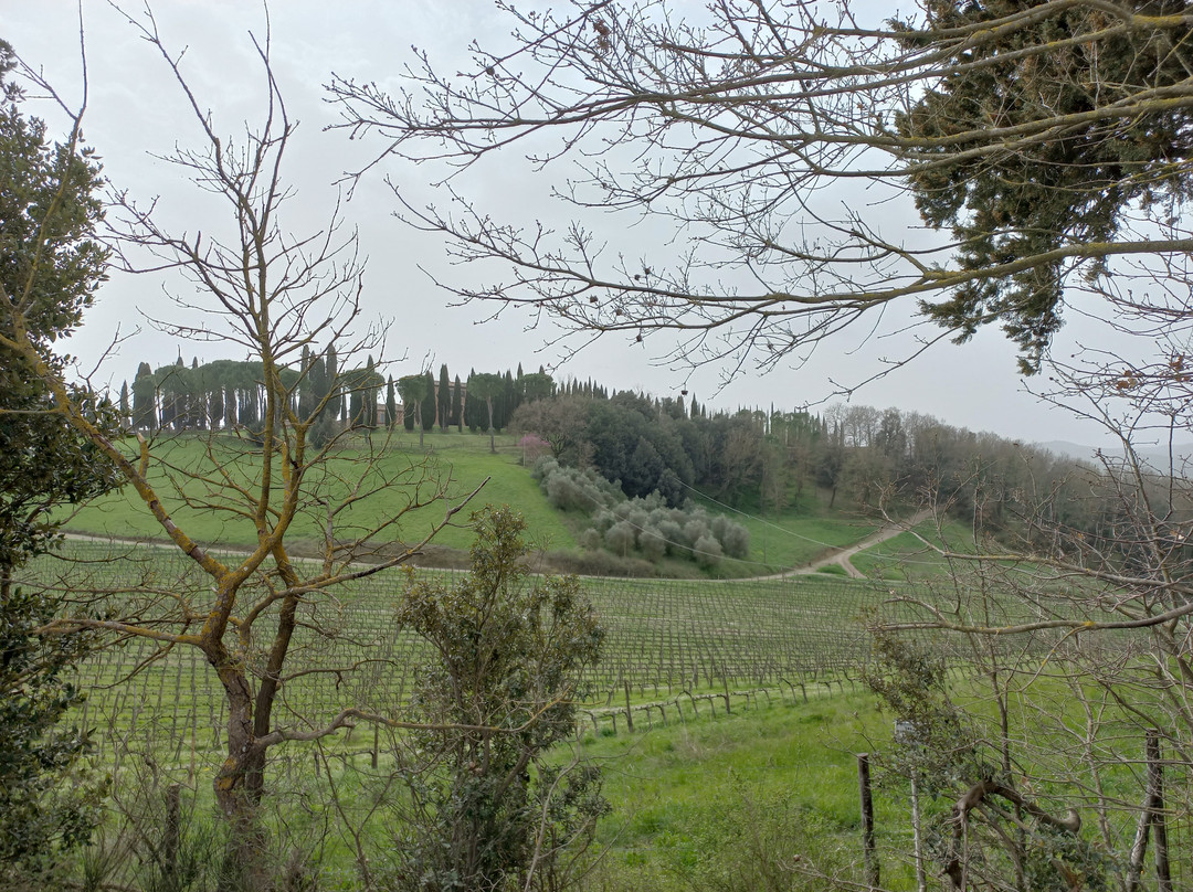 Via Francigena Tappa 35 Ponte d'Arbia - San Quirico d'Orcia景点图片