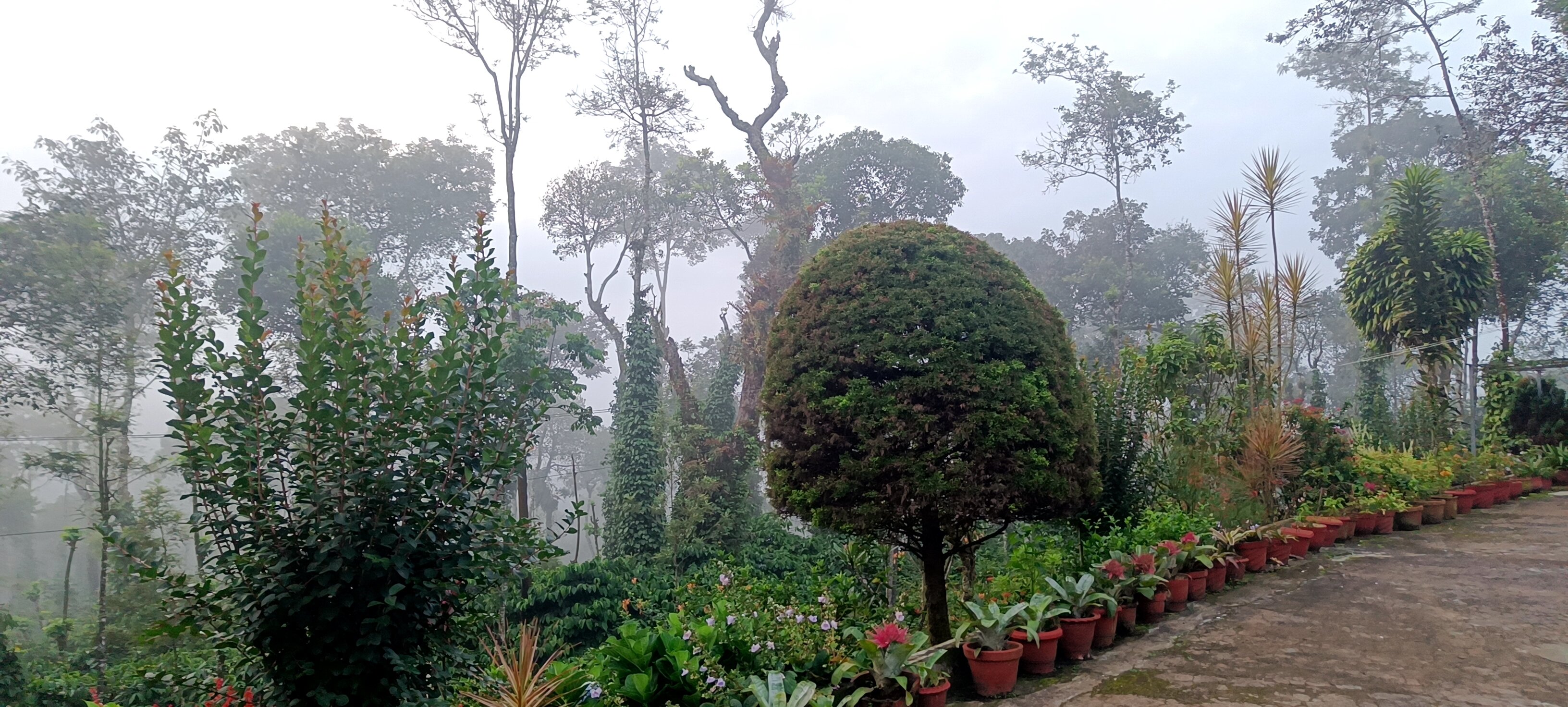 The Blue Mountains Estate Stay-酒店景观