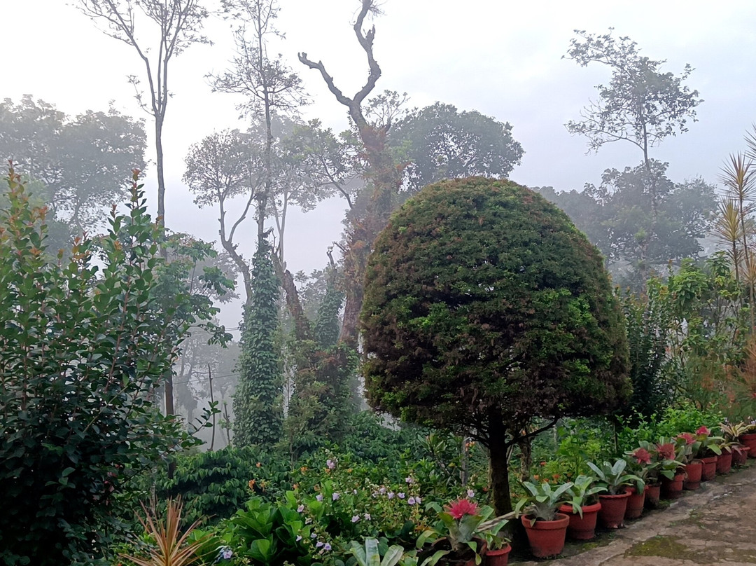 The Blue Mountains Estate Stay主图