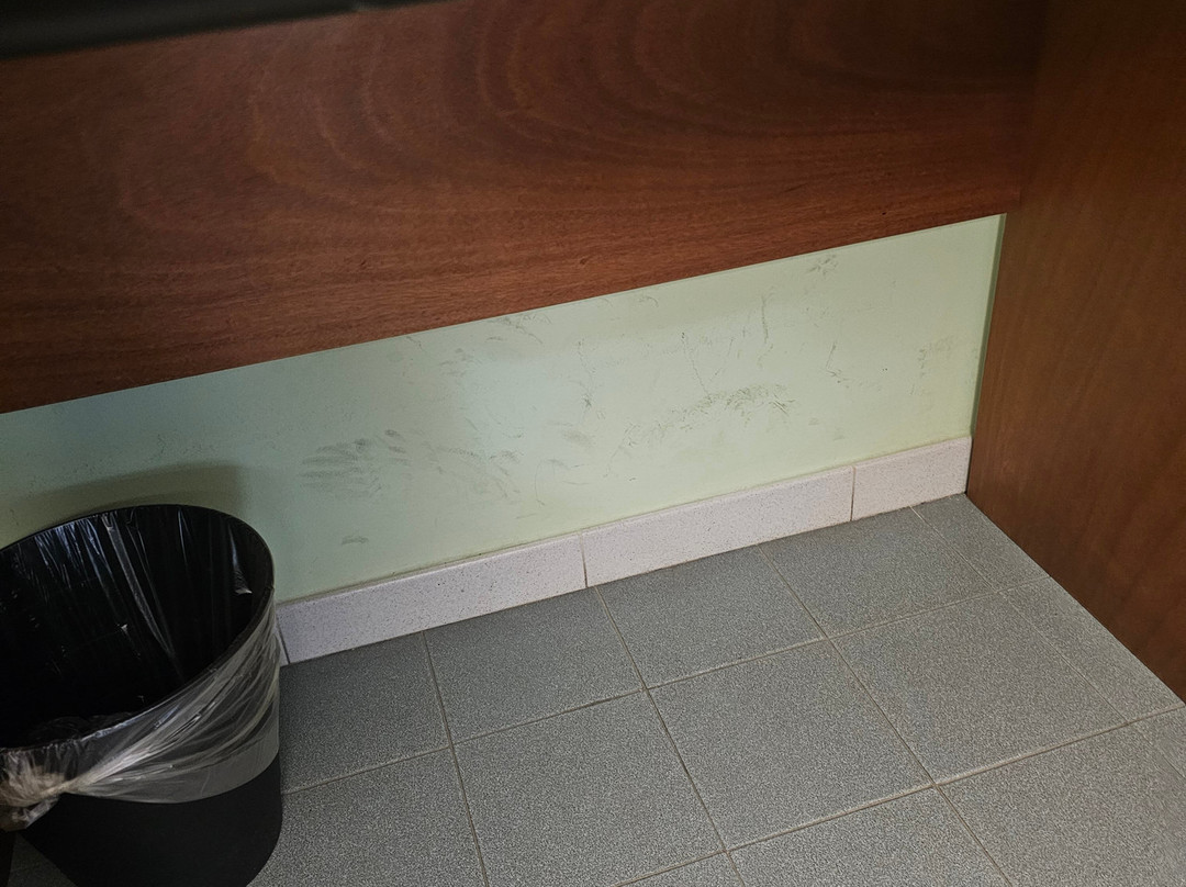 Albergo Athenaeum主图