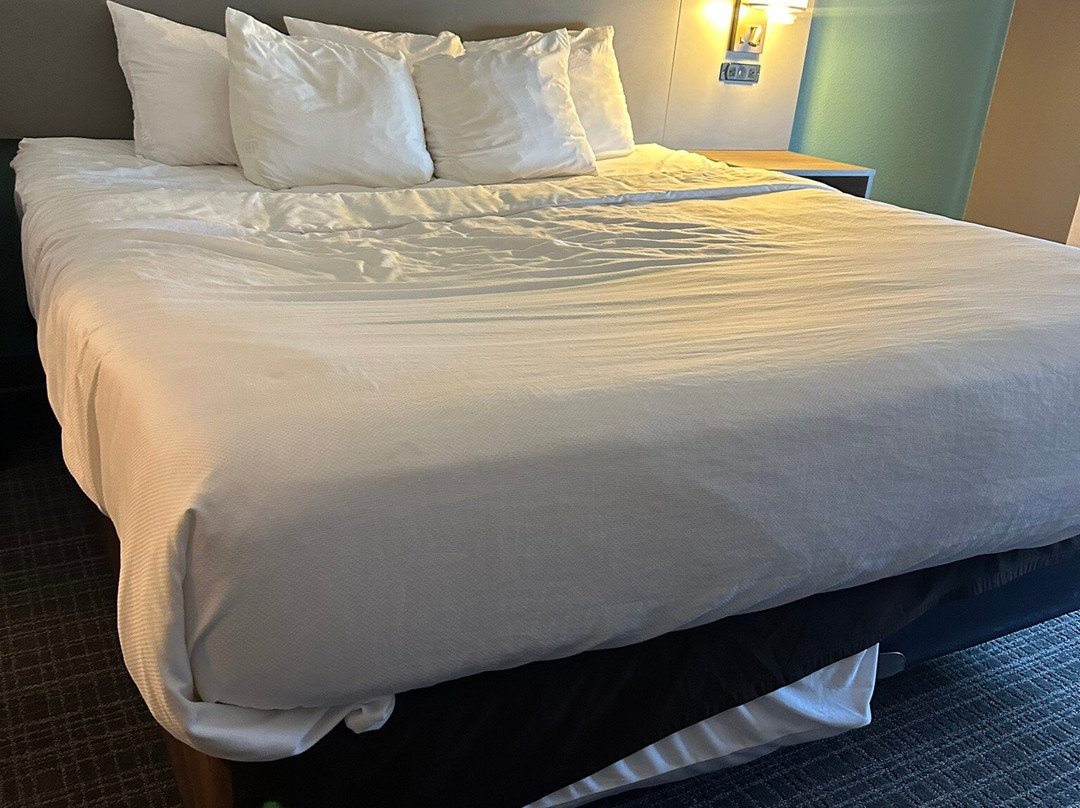 Comfort Suites French Lick主图