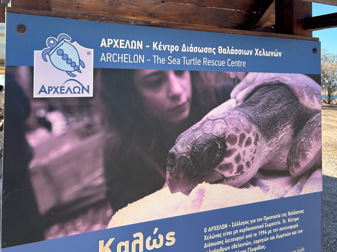 ARCHELON Τhe Sea Turtle Protection Society of Greece-吉利法达必去景点