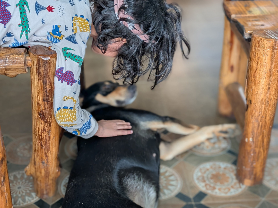 Forest Side Farm主图