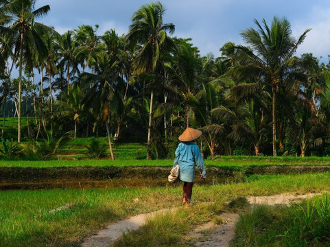 Made Bali Vacation Travel-金塔马尼必去景点