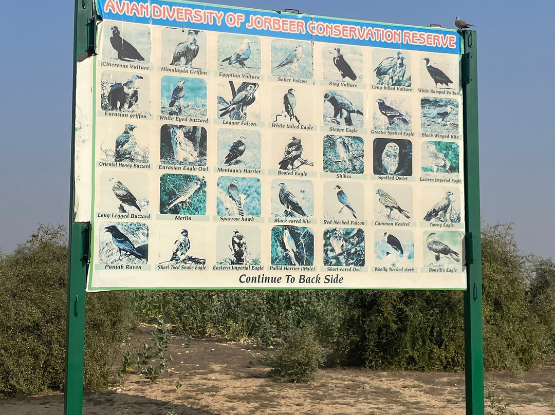 Jorbeer Conservation Reserve-碧卡内必去景点