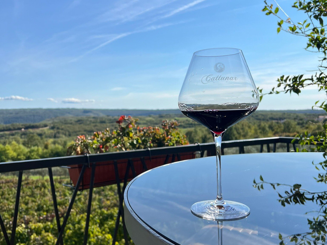 Wine Residence Cattunar主图