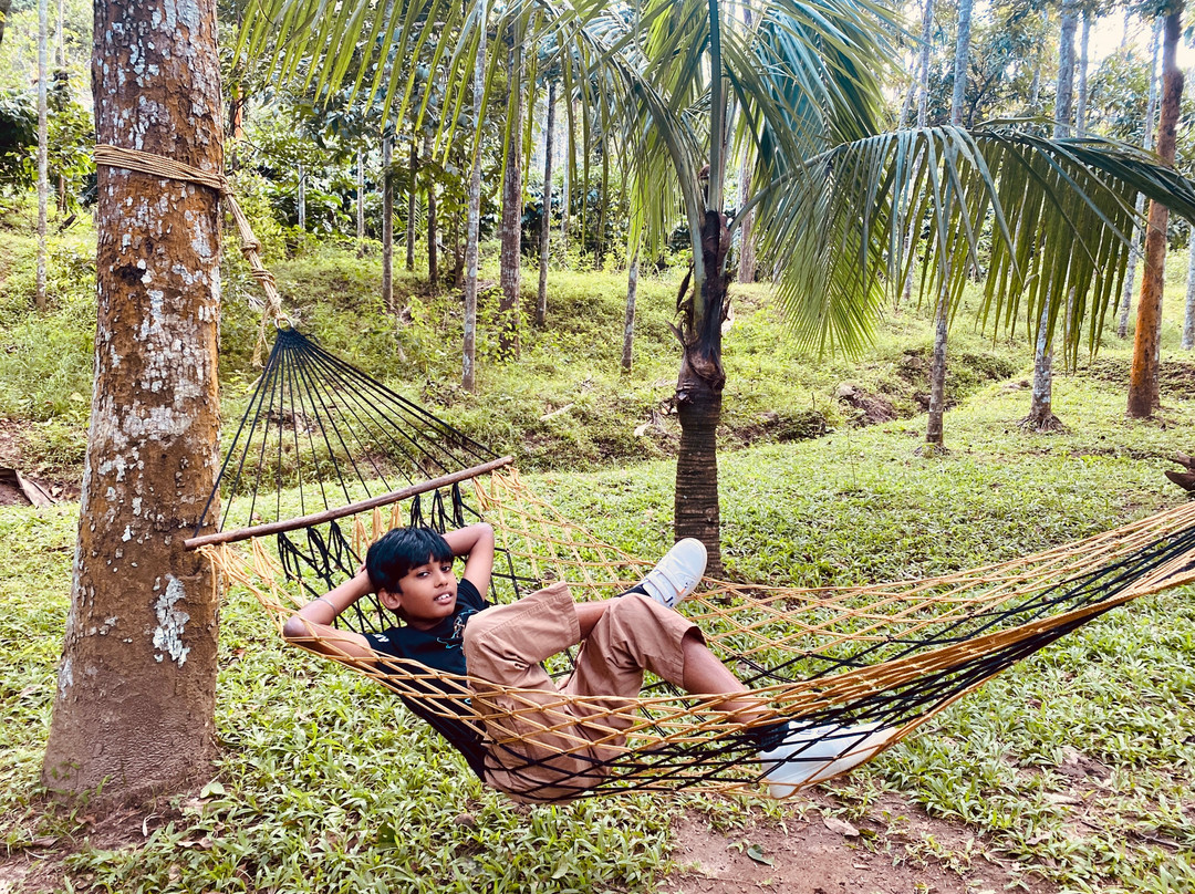 Sterling Wayanad主图