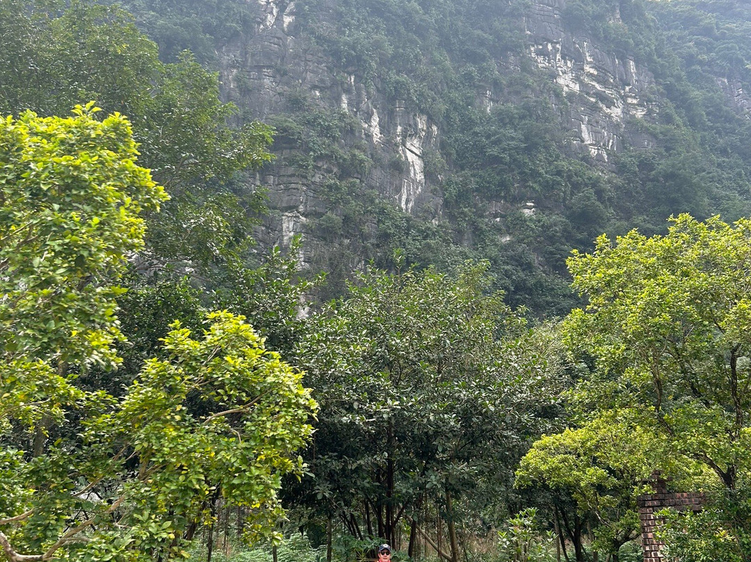 Le jardin de Tam Coc Homestay主图