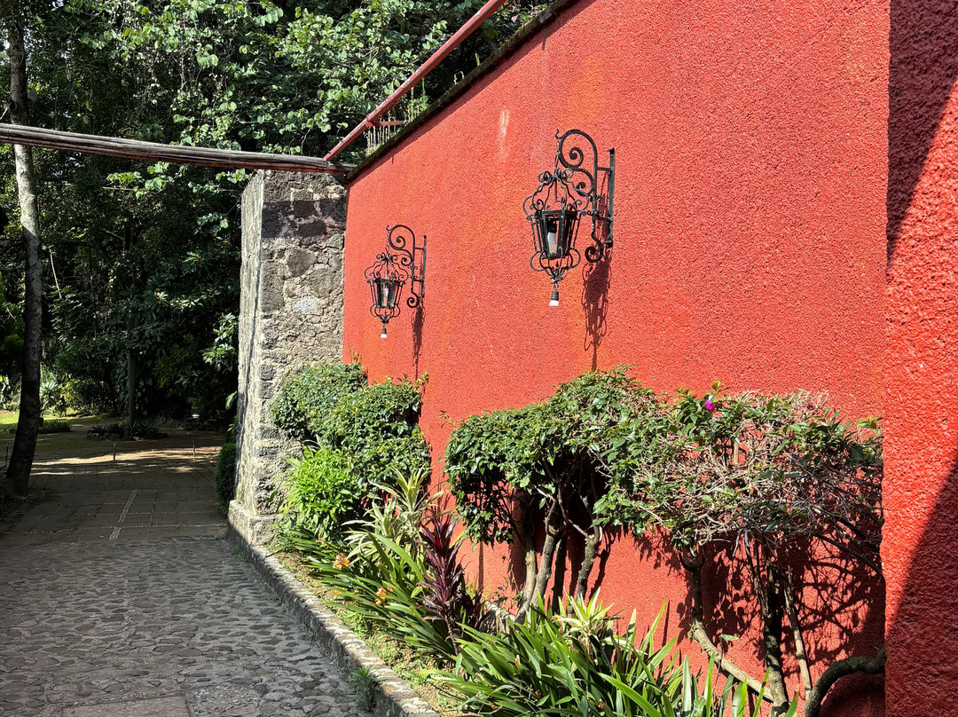 库埃纳瓦卡瑞凯特酒店 - 欧斯达主图