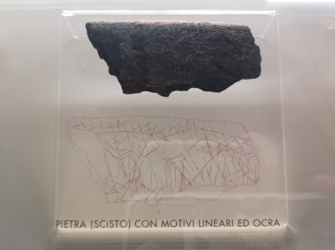 Museo Civico Pietro e Turiddo Lotti-Ischia di Castro必去景点