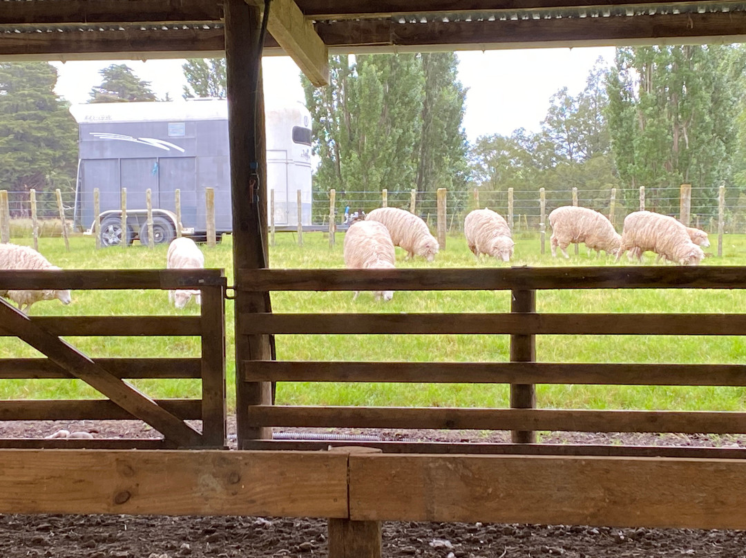 Rangitikei Farmstay主图