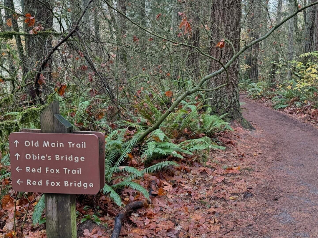 Tryon Creek State Natural Area景点图片