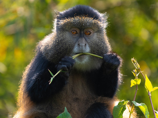 Heritage Safaris Ltd-吉佳利必去景点