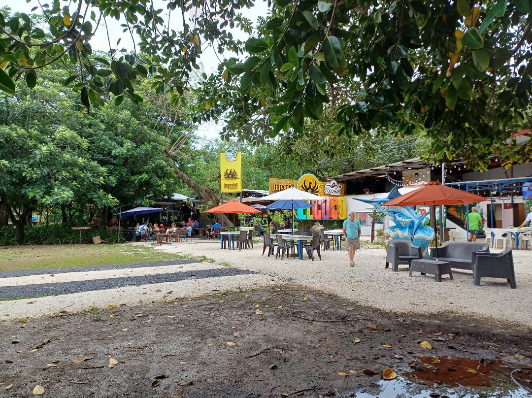 Playas del coco景点图片