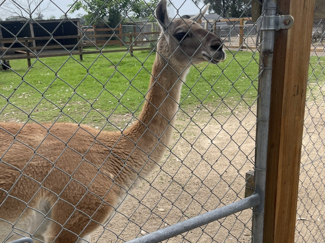 Amazement Farm & Fun Park-怀昂溪必去景点