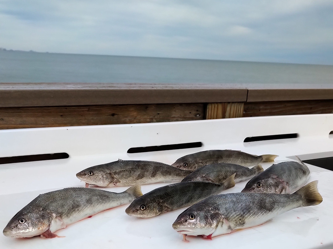 The Surfside Beach Pier-Surfside Beach必去景点