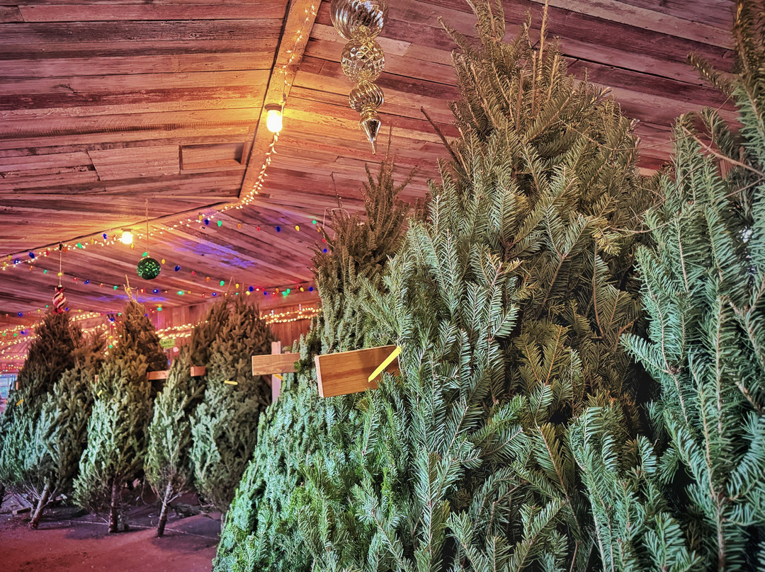 Ebert's Greenhouse Village-Ixonia必去景点