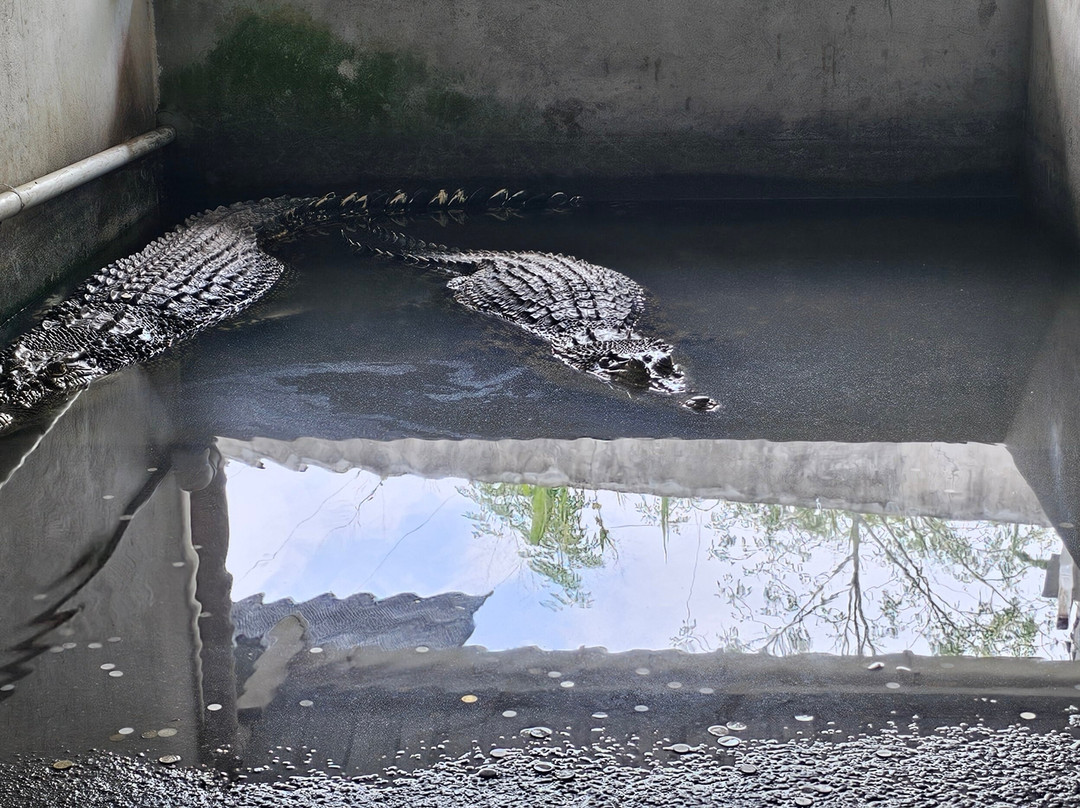 Yun Fook Trading (kolam Ikan)