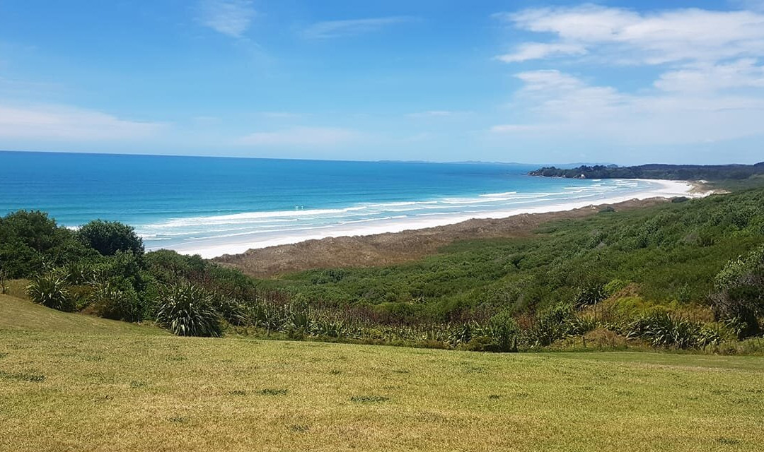 Ka-uri-Awanui必去景点