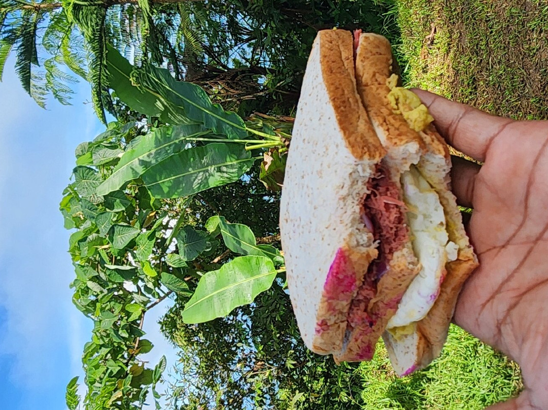 Mt. Manunggal-Balamban必去景点