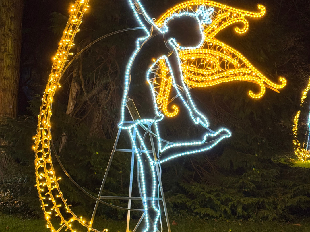 Christmas Garden Insel Mainau-康士坦茨必去景点