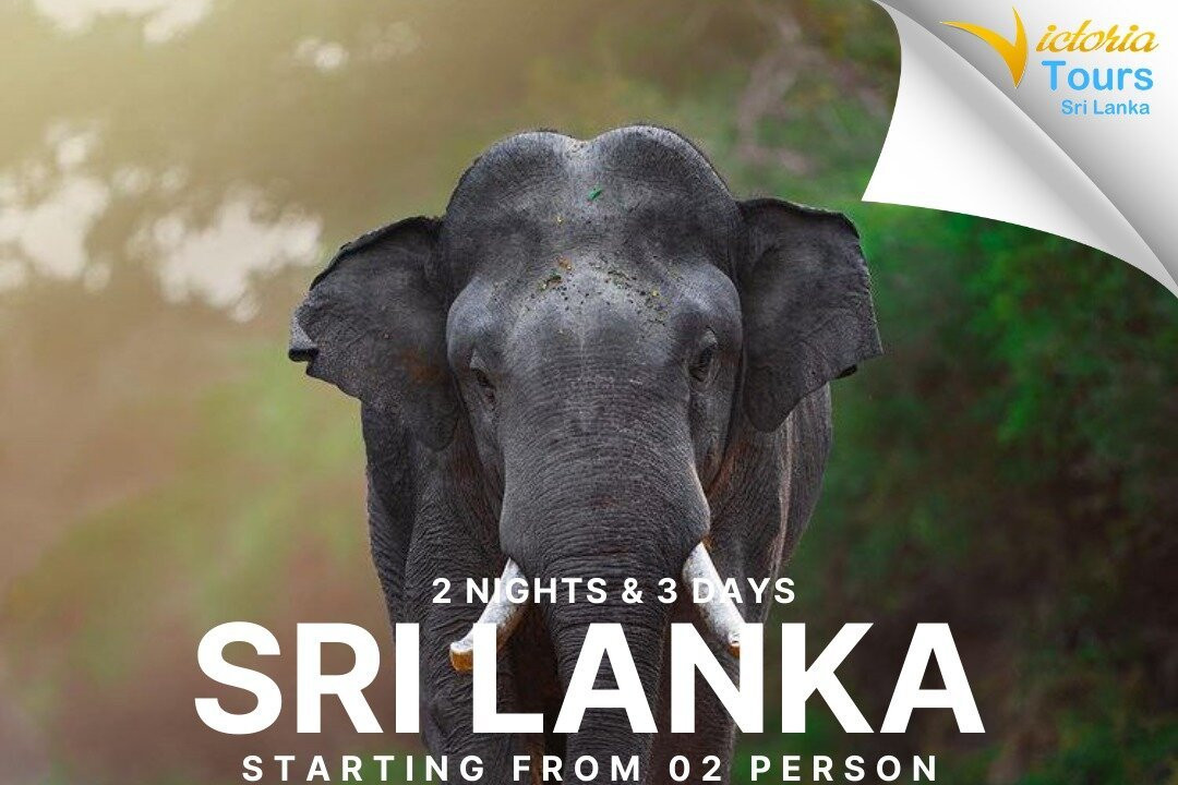 Sri Lanka 3-Day Tour : Colombo & Kandy Highlights