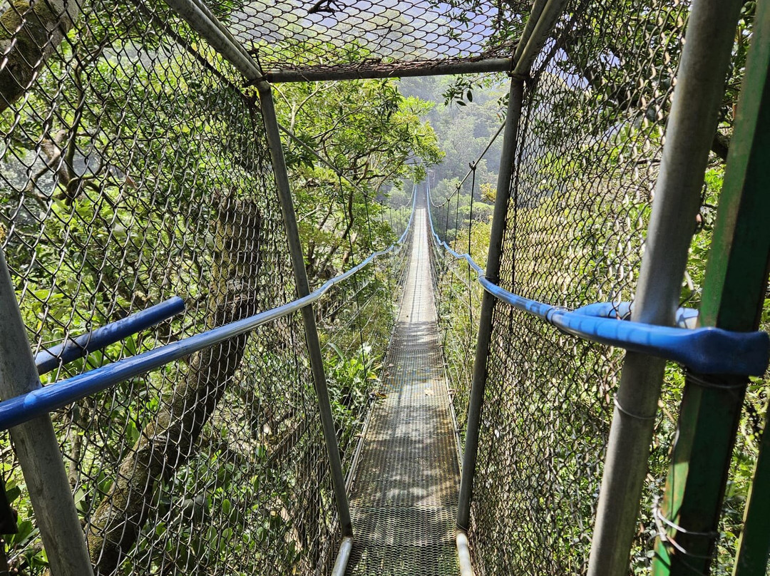 Tours Your Way景点图片